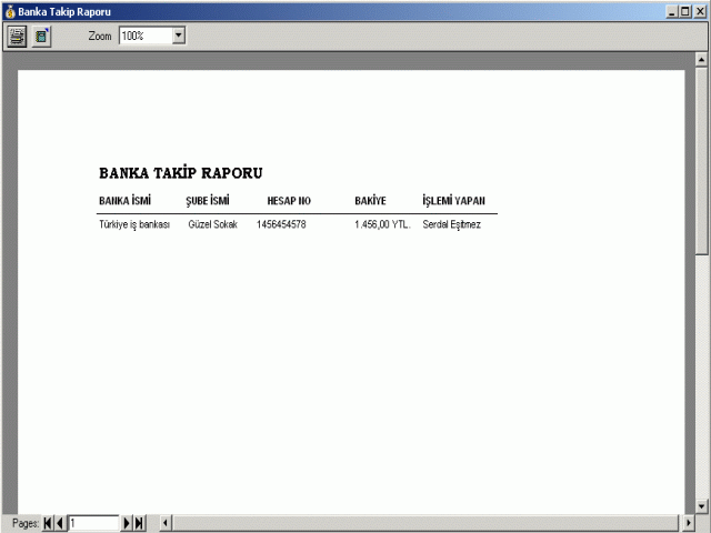 rnek Banka Takip Raporu